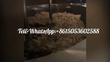 Automatic Mixing Discharging Fliter Batch Frying Machine