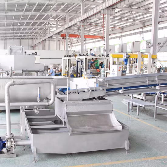 Multi-Function Fruit Vegetable Meat Washer Cabbage Lettuce Carrot Radish Garlic Pepper Chilli Spinach Apple Pear Strawberry Orange Beaf Lamb Washing Machine